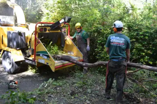 tree services Lake Village